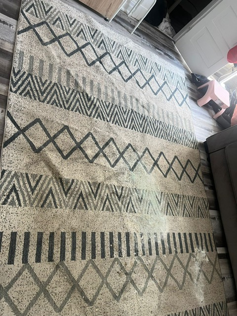 Before Carpet Stain Removal - dirty carpet cleaning